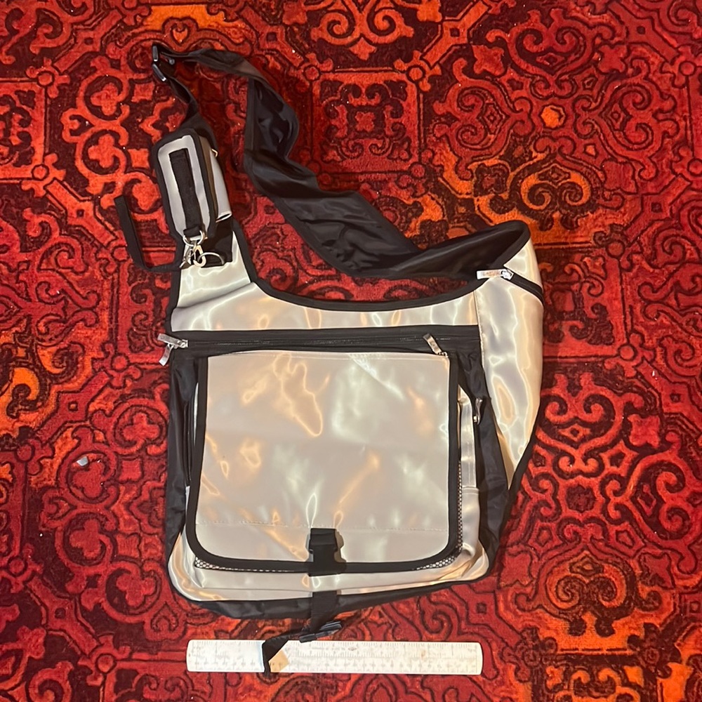 Laptop bag. Silvery gold color. Lots of pockets. Padded back.